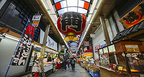 四大樂園一站玩全東京大阪7天6晚