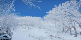 樂享北海道小樽函館富良野賞花5晚6日